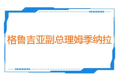格鲁吉亚副总理姆季纳拉泽宣布辞职